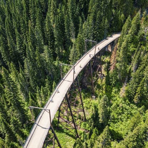 Aerial view of a curved bridge surrounded by dense green forest, with cyclists riding along the path.