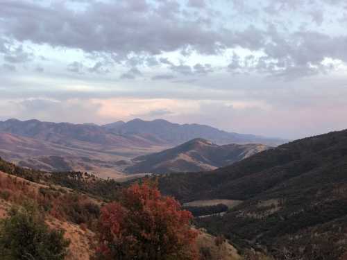 A scenic view of rolling mountains and valleys, with autumn foliage in the foreground under a cloudy sky.