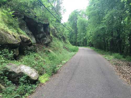 A winding road surrounded by lush greenery and rocky outcrops, with power lines overhead.