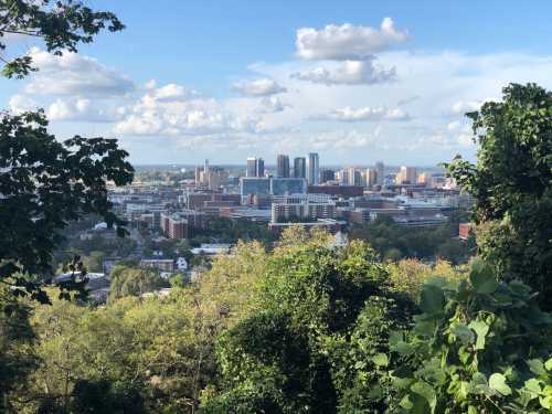 A panoramic view of a city skyline surrounded by greenery and blue skies with scattered clouds.