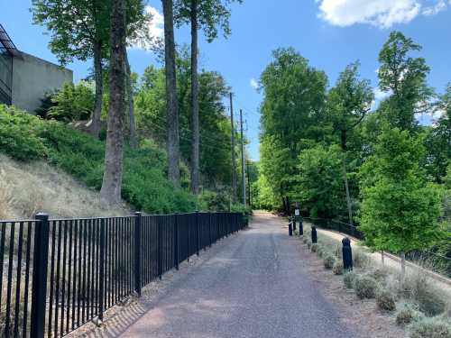 A gravel path lined with trees and a black fence, leading through a green landscape under a blue sky.