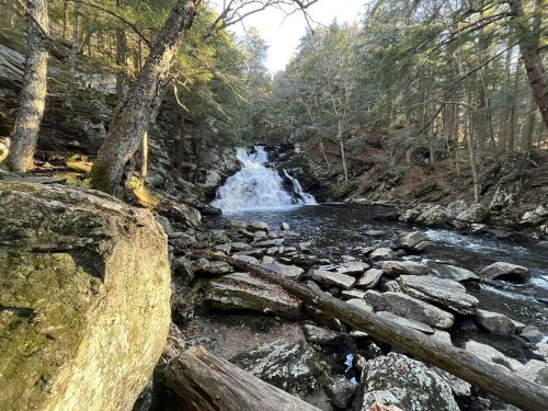 A serene waterfall cascades over rocks, surrounded by lush trees and a tranquil stream in a forested area.