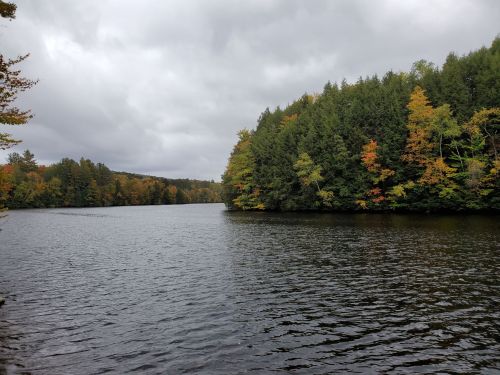 A serene lake surrounded by trees with autumn foliage under a cloudy sky.