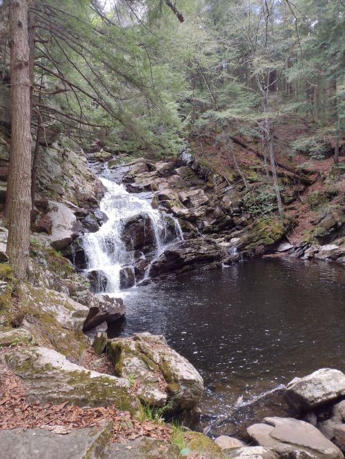 A serene waterfall cascades into a dark pool, surrounded by lush greenery and rocky terrain.