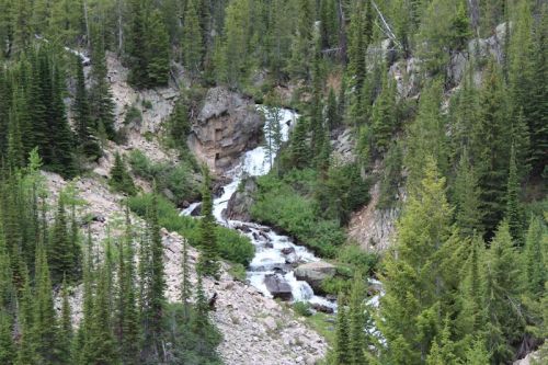 A serene landscape featuring a cascading waterfall surrounded by lush green trees and rocky terrain.