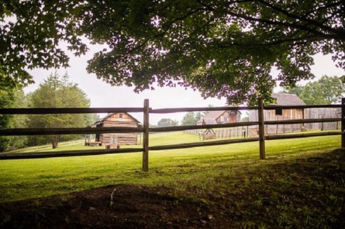 A peaceful rural scene featuring wooden cabins and a fence, surrounded by lush green grass and trees.