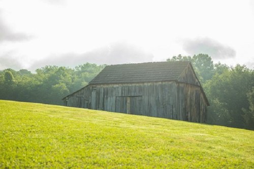 A rustic wooden barn sits on a grassy hill, surrounded by trees and a misty sky.