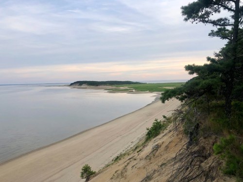 A serene beach scene with gentle waves, sandy shore, and lush greenery under a cloudy sky.