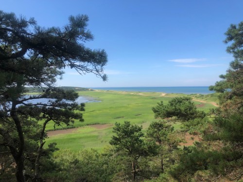 A scenic view of green fields and a blue ocean under a clear sky, framed by trees in the foreground.