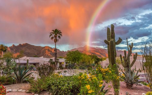 A vibrant sunset with a rainbow over mountains, featuring cacti and lush greenery in the foreground.