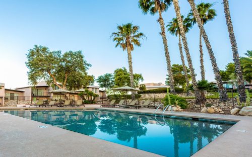 A serene pool surrounded by palm trees and lounge chairs, with a clear blue sky in the background.