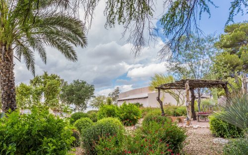 Lush garden with palm trees, shrubs, and a wooden pergola under a partly cloudy sky.