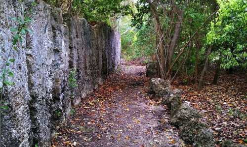 A narrow, winding path surrounded by lush greenery and rocky walls, with fallen leaves scattered along the ground.