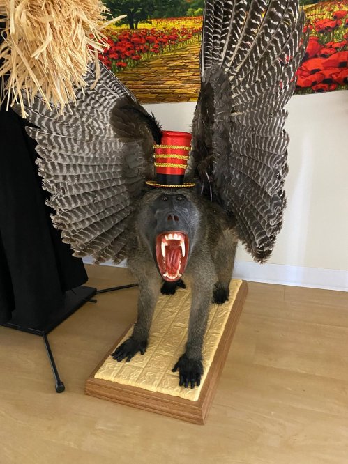 A taxidermy baboon with large wings and a top hat, displayed on a wooden base in a brightly lit room.