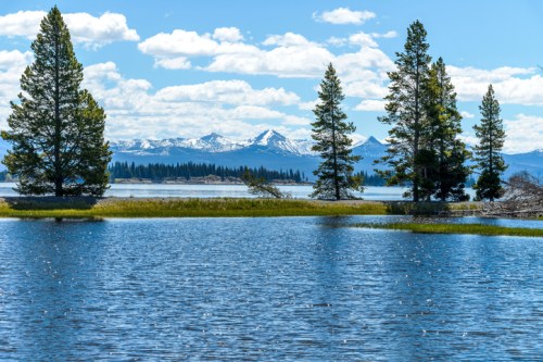 A serene lake scene with tall trees, mountains in the background, and a clear blue sky with fluffy clouds.