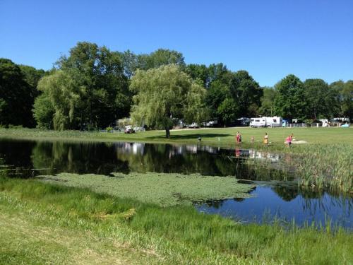 A serene park scene with a calm pond, lush greenery, and people enjoying the outdoors on a sunny day.