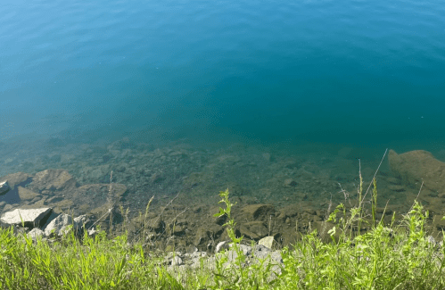 A serene view of clear blue water with visible rocks and green grass along the shoreline.