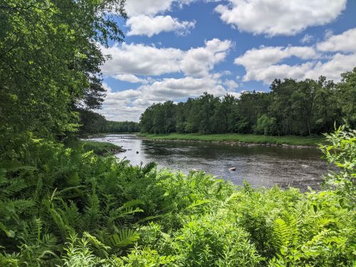 A serene river scene surrounded by lush greenery and trees under a partly cloudy sky.
