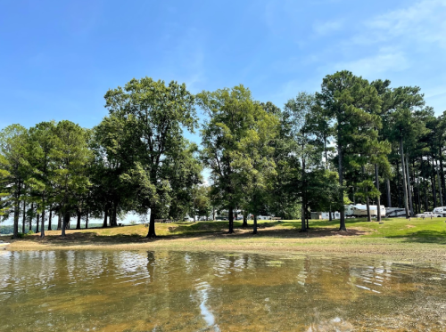 A serene lakeside view with trees lining the shore and a clear blue sky above.