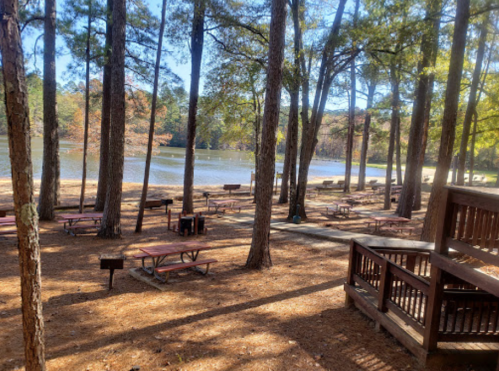 A serene lakeside picnic area with wooden tables surrounded by tall trees and a clear blue sky.