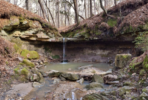 A serene forest scene featuring a small waterfall cascading into a rocky pool surrounded by moss-covered stones.