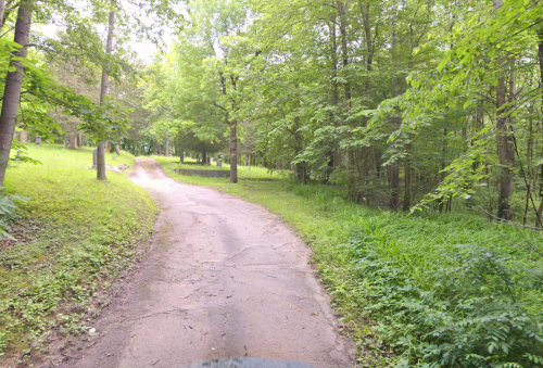 A winding path through a lush green forest, surrounded by trees and grass.