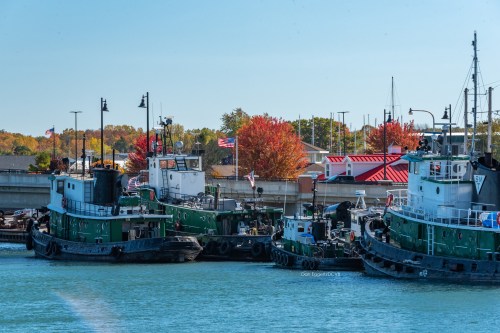 Tugboats docked in a harbor with autumn foliage and flags in the background under a clear blue sky.