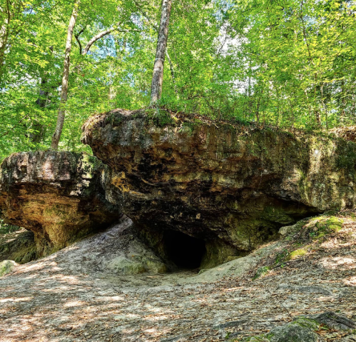 A rocky cave entrance surrounded by lush green trees and foliage in a forested area.