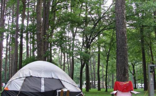 A camping scene featuring a tent and a red chair surrounded by tall trees in a lush green forest.