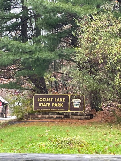 Sign for Locust Lake State Park surrounded by trees, indicating the park's entrance and natural setting.