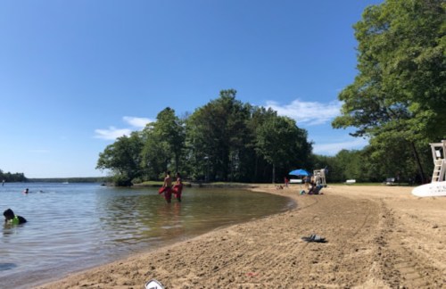 A sandy beach by a calm lake, with people swimming and relaxing under a clear blue sky and trees in the background.