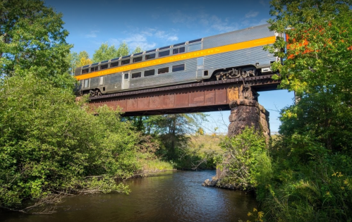 A train crosses a bridge over a river, surrounded by lush greenery and trees.