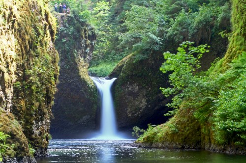 A serene waterfall cascades into a lush green canyon, surrounded by trees and moss-covered rocks.