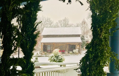 A snowy scene framed by greenery, showcasing a cozy house decorated with lights in a winter landscape.