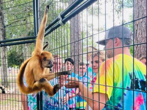 A monkey hangs from a cage while interacting with a group of people in colorful tie-dye shirts.