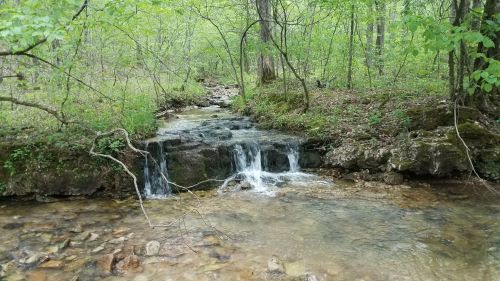 A serene forest scene featuring a small stream with gentle waterfalls, surrounded by lush green trees and rocky terrain.