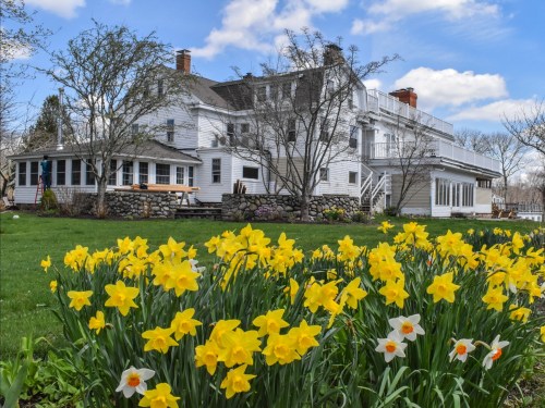A white house with a large porch surrounded by blooming yellow and white daffodils under a blue sky.