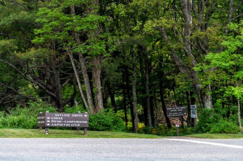 Signposts for Skyline Drive, Lodge, Picnic Campground, and Amphitheater, surrounded by lush green trees.