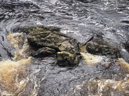 A rocky outcrop in a flowing river, surrounded by dark water with hints of brown.