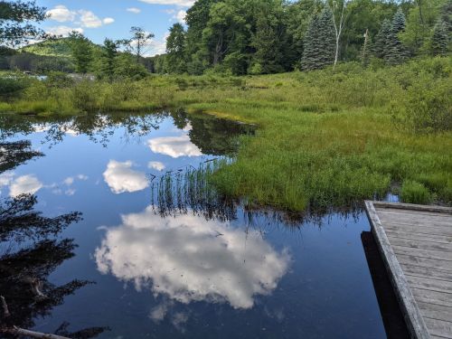 A serene landscape featuring a calm pond reflecting clouds and lush greenery, with a wooden dock in the foreground.