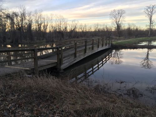 A wooden bridge spans a calm pond, surrounded by trees and reflecting the sky at dusk.
