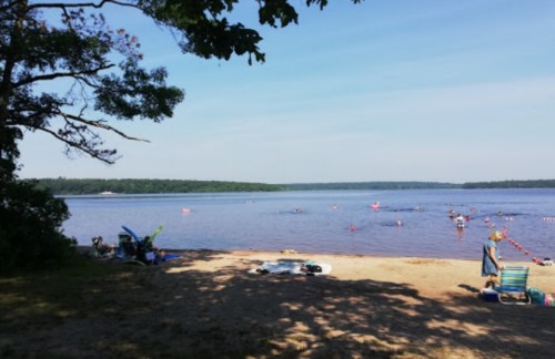 A serene beach scene with people swimming in a lake, surrounded by trees and a clear blue sky.