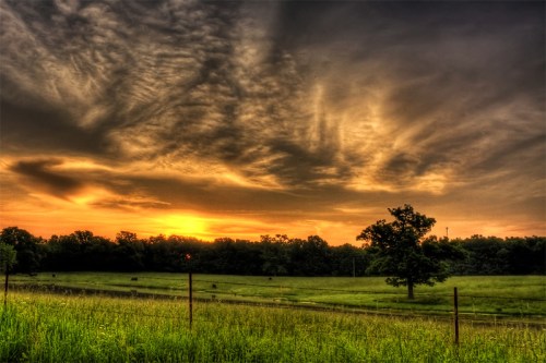A vibrant sunset over a grassy field, with dramatic clouds and a lone tree silhouetted against the colorful sky.