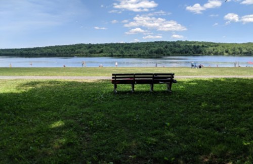 A wooden bench on a grassy area overlooking a calm lake and green hills under a blue sky with fluffy clouds.