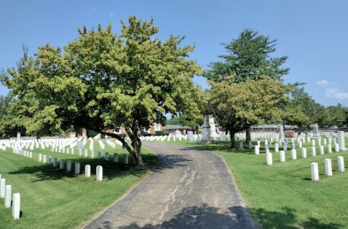 A peaceful cemetery scene with a winding path, flanked by trees and white gravestones under a clear blue sky.