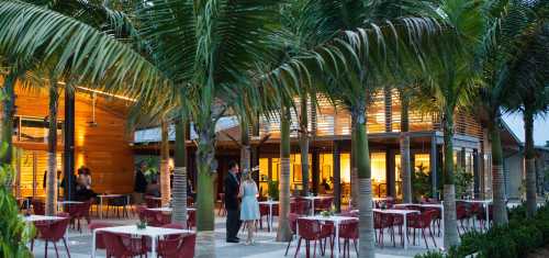 A modern outdoor restaurant with palm trees, featuring tables and chairs, illuminated by warm lights in the evening.