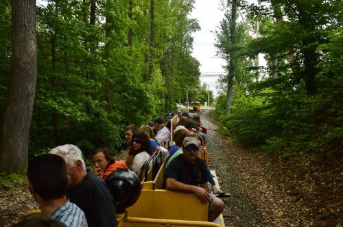 A group of people sitting in an open vehicle on a forested path, surrounded by trees and greenery.