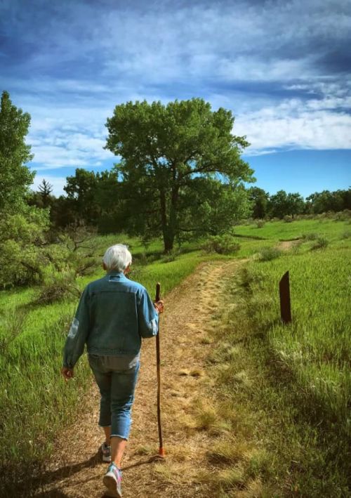 An older person walks along a grassy path, holding a walking stick, surrounded by trees and a blue sky.
