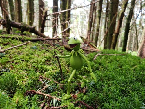 A green puppet character walks through a lush, mossy forest, holding a stick amidst trees and greenery.