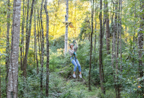 A person zip-lining through a forest, surrounded by tall trees and greenery, enjoying an outdoor adventure.